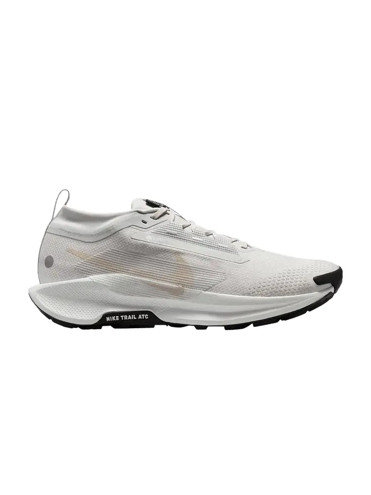 Кроссовки Nike Pegasus Trail 5 GORE-TEX — изображение 1 из 1, серый