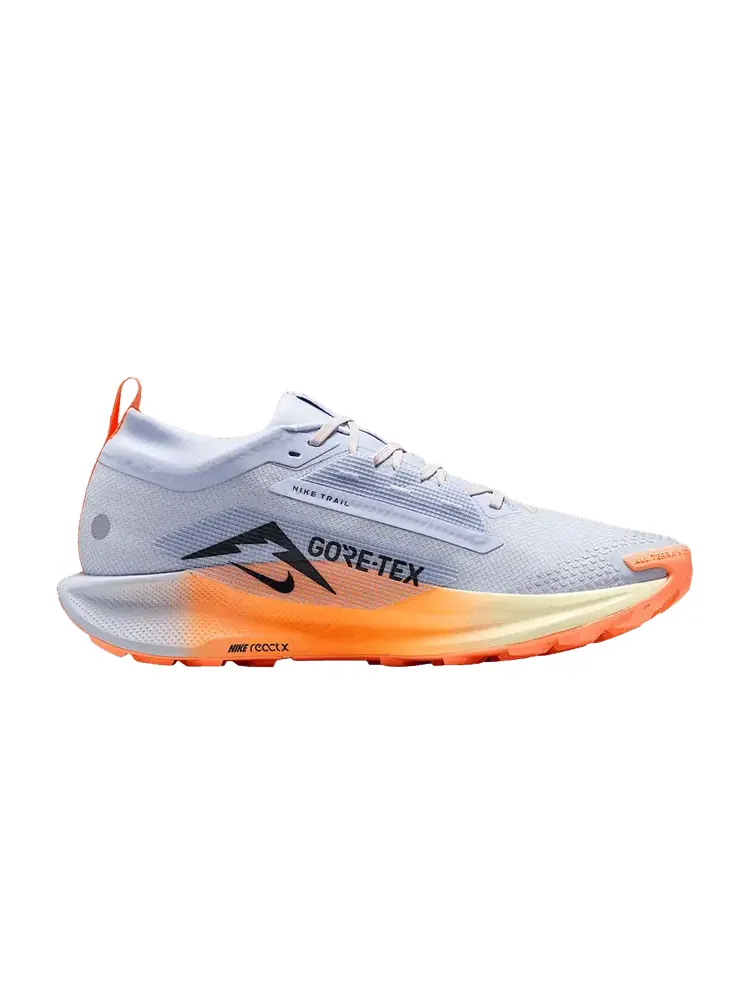 Кроссовки Nike Pegasus Trail 5 GORE-TEX 'Ghost Orange Pulse' — изображение 1 из 1, синий