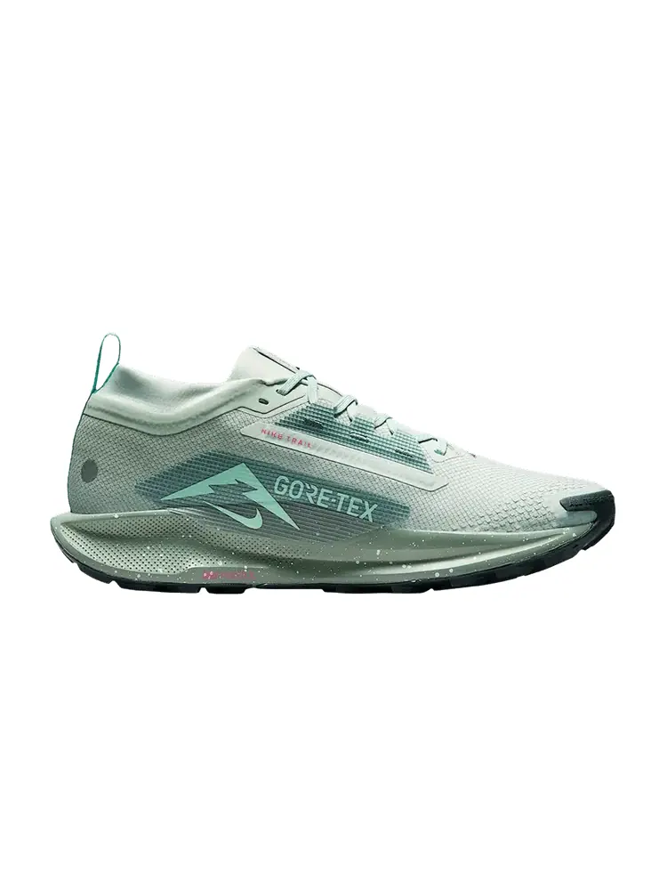 Кроссовки Nike Pegasus Trail 5 GORE-TEX 'Light Silver Clay Green' — изображение 1 из 1, бирюзовый