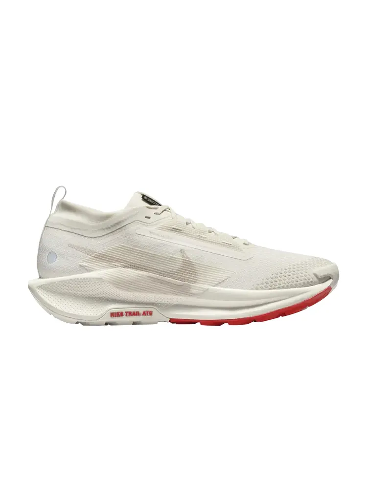 Кроссовки Pegasus Trail 5 GORE-TEX — изображение 1 из 1, красный