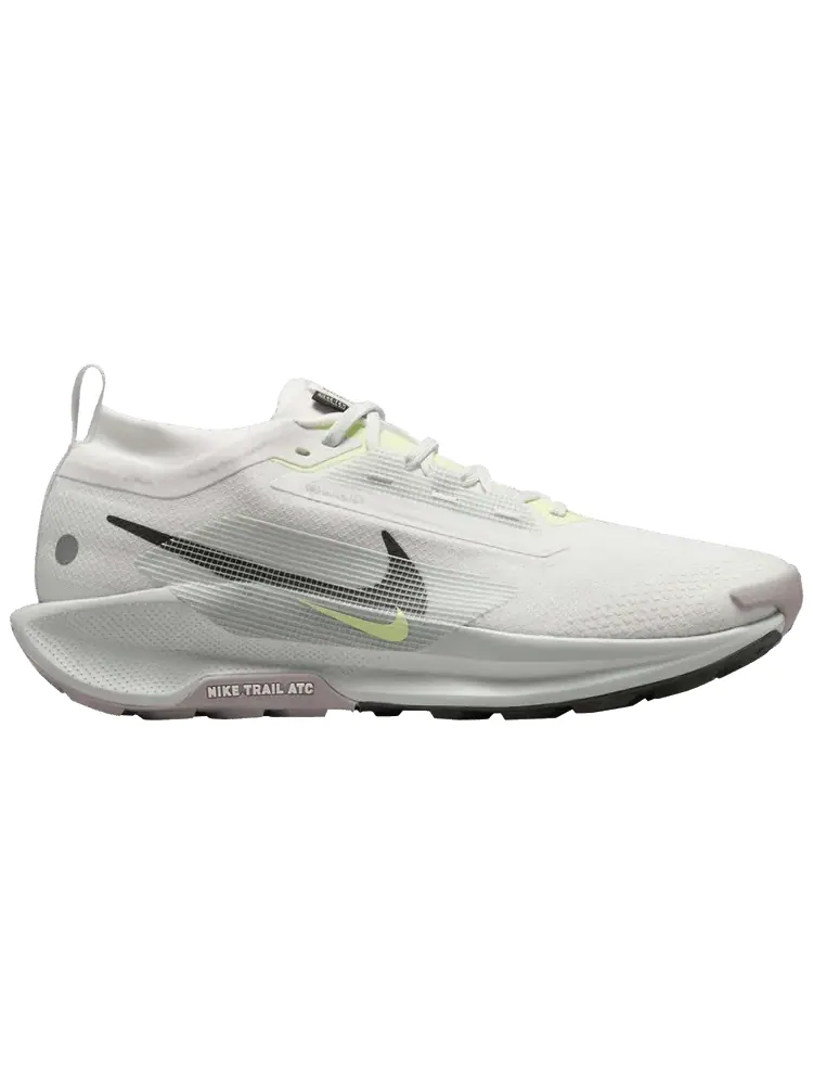 Кроссовки Nike Pegasus Trail 5 GORE-TEX 'Light Silver Sequoia' — изображение 1 из 1, серый