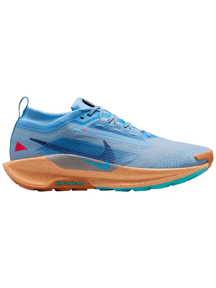 Кроссовки Nike Pegasus Trail 5 GORE-TEX 'Blue Beyond Copper Moon' — изображение 1 из 1, синий