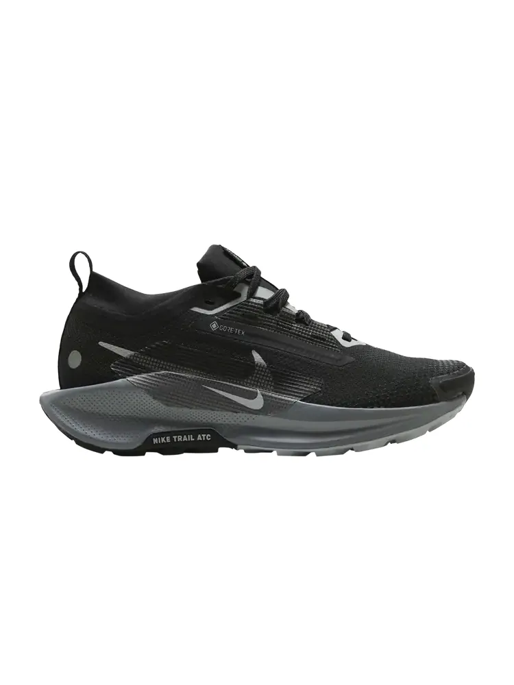Кроссовки Wmns Pegasus Trail 5 5 GORE-TEX — изображение 1 из 1, черный серый