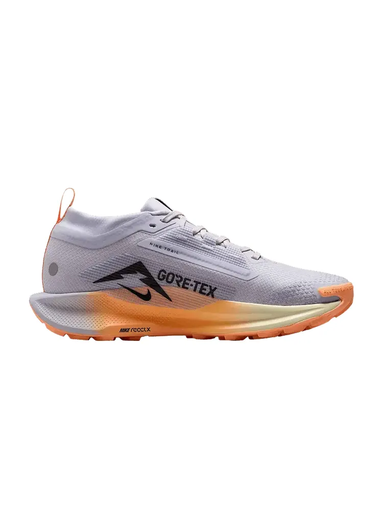 Кроссовки Nike Wmns Pegasus Trail 5 GORE-TEX 'Ghost Orange Pulse' — изображение 1 из 1, серый