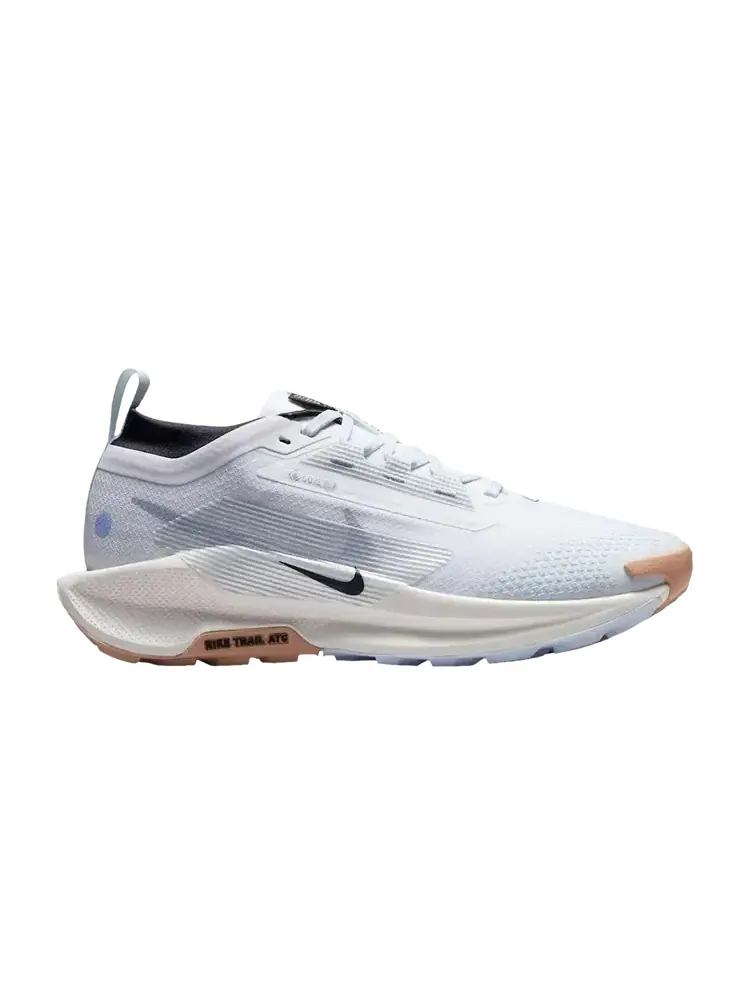 Кроссовки Nike Wmns Pegasus Trail 5 GTX — изображение 1 из 1, белый черный серый