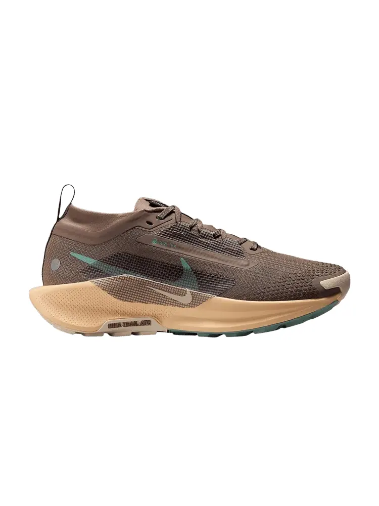 Кроссовки Nike Wmns Pegasus Trail 5 GORE-TEX — изображение 1 из 1, коричневый оранжевый
