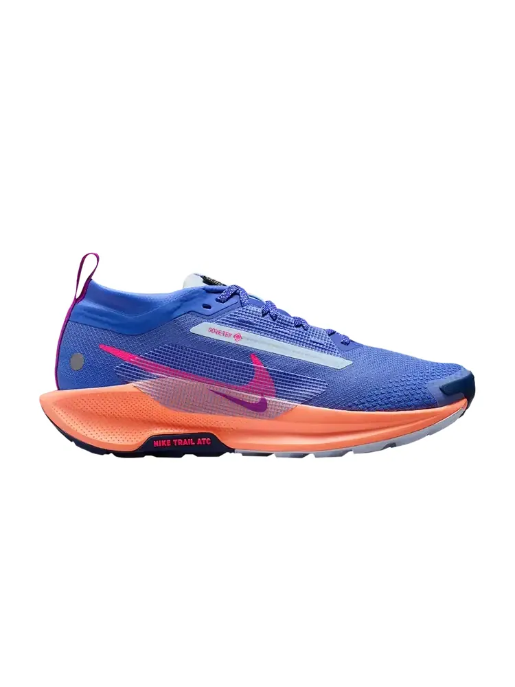 Кроссовки Nike Pegasus Trail 5 GORE-TEX 'Sapphire' — изображение 1 из 1, синий