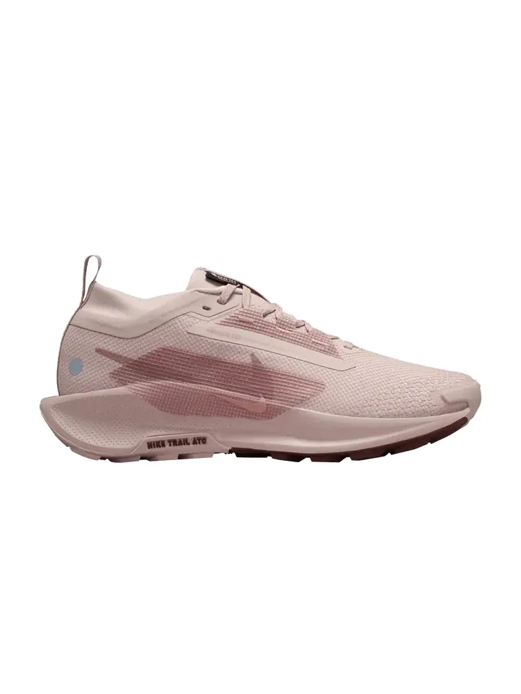 Кроссовки Nike Wmns Pegasus Trail 5 GORE-TEX Pink Oxford — изображение 1 из 1, розовый