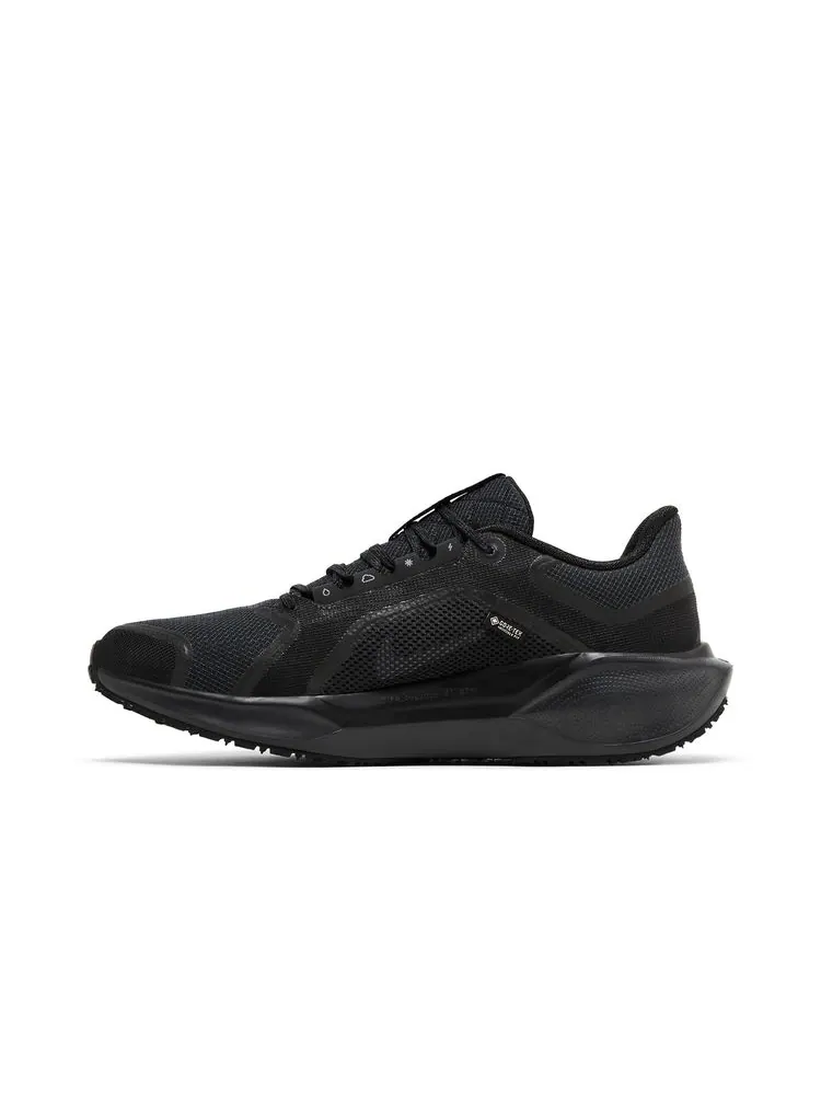 Кроссовки Nike Air Zoom Pegasus 41 GORE-TEX 'Black Anthracite' — изображение 3 из 8, черный