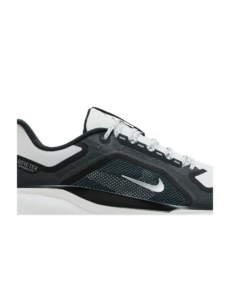Кроссовки Air Zoom Pegasus 41 GORE-TEX 'Iron Grey Summit White' — изображение 2 из 8, серый белый