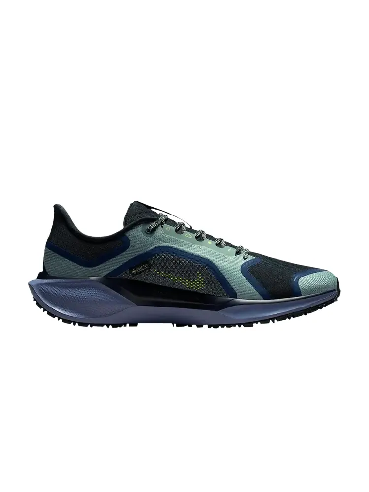 Кроссовки Nike Air Zoom Pegasus 41 GORE-TEX 'Cannon Obsidian' — изображение 1 из 1, синий