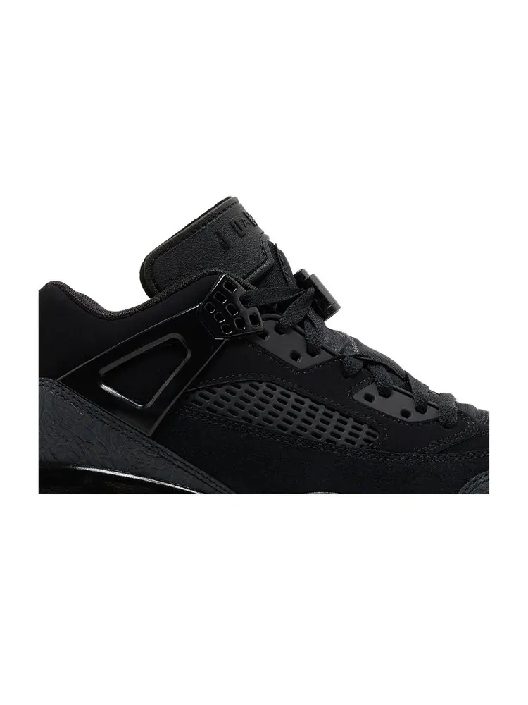Кроссовки Air Jordan Spizike Low 'Black Cat' — изображение 2 из 5, черный