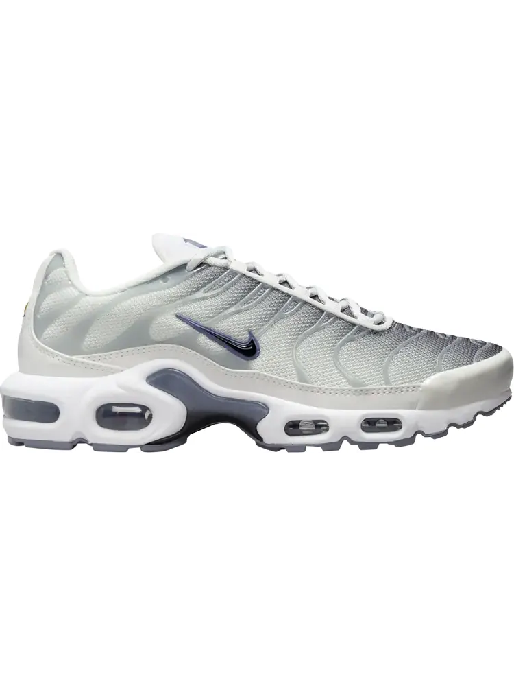 Кроссовки Wmns Air Max Plus 'Smoke Grey Ashen Slate' — изображение 1 из 1, серый