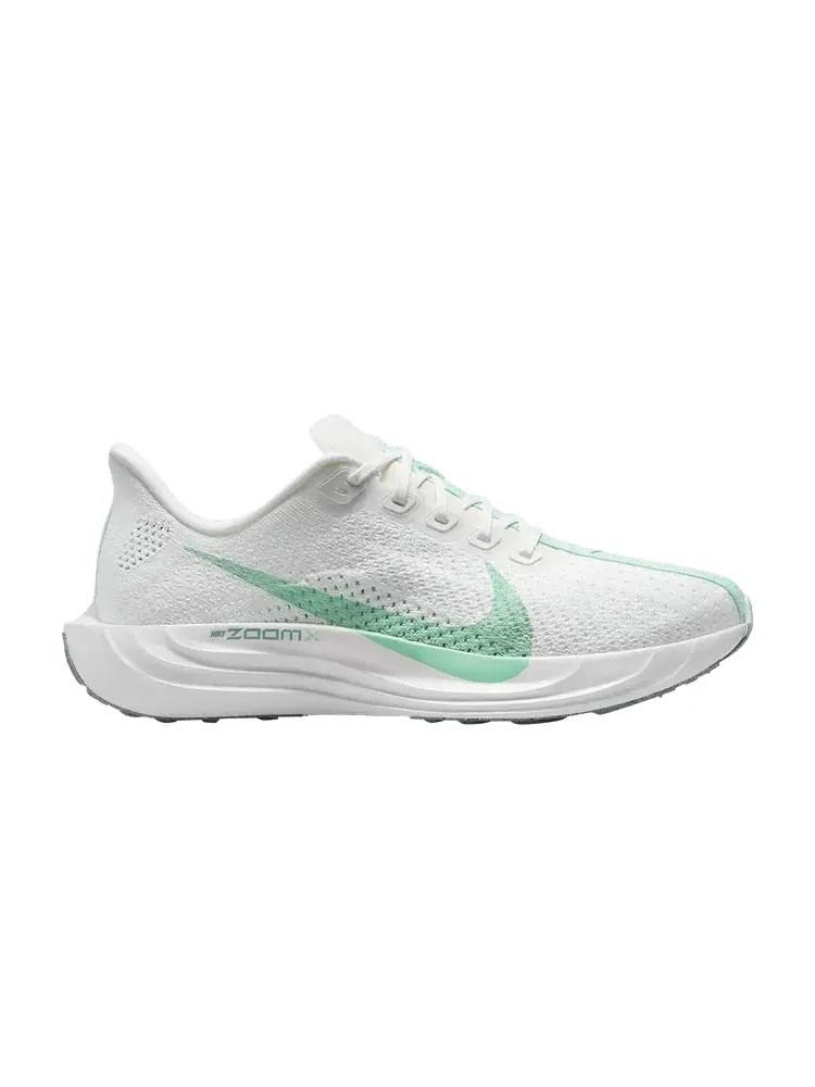 Кроссовки Nike Wmns Pegasus Plus, Cannon