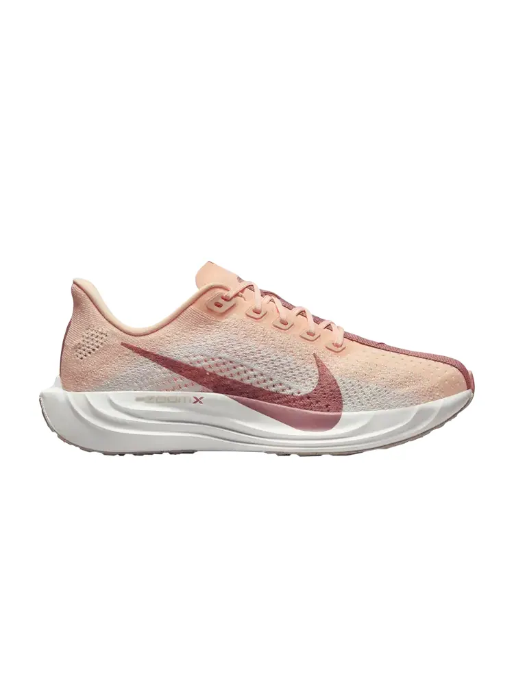 Кроссовки Wmns Pegasus Plus