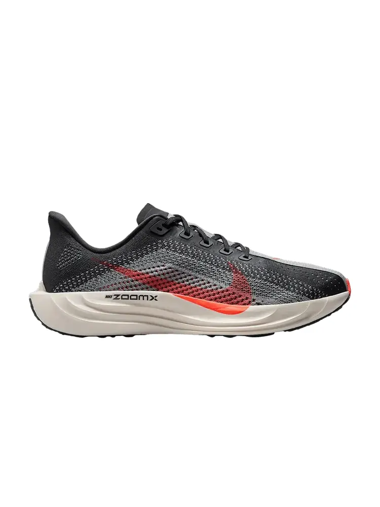 Кроссовки Nike Pegasus Plus, Anthracite Bright Crimson
