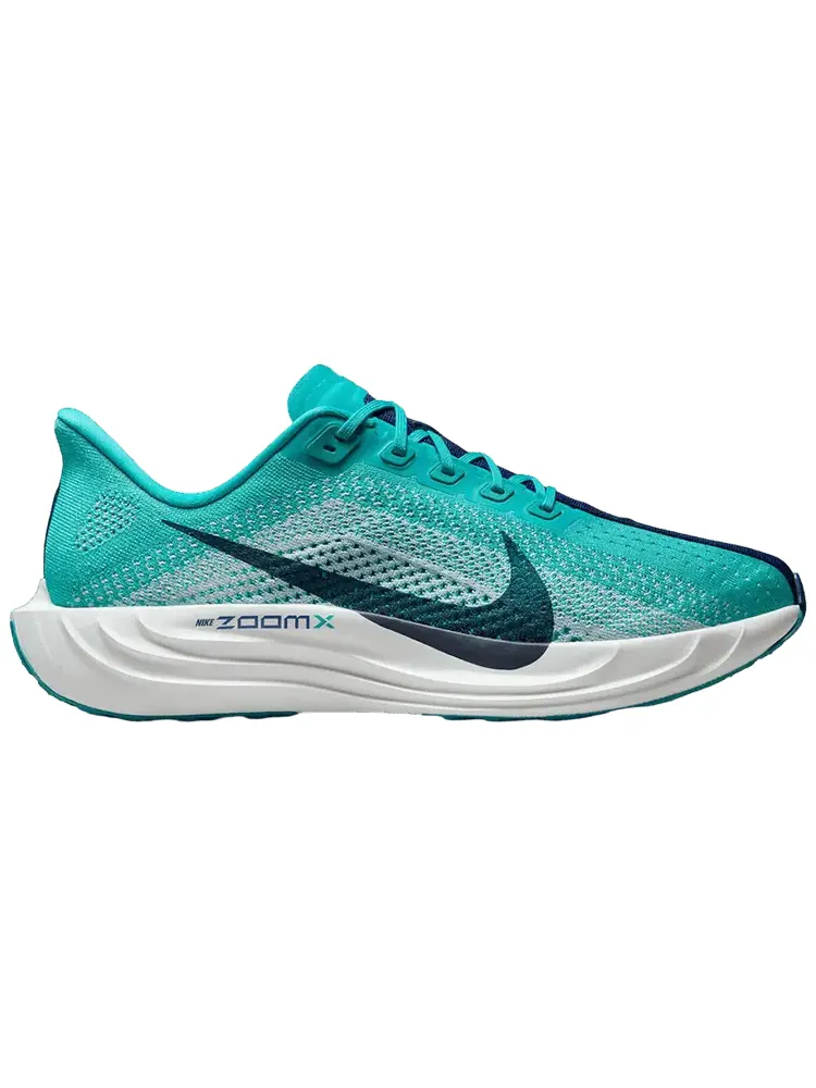 Кроссовки Nike Pegasus Plus