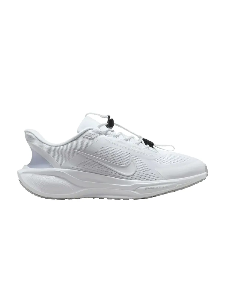 Кроссовки Nike Air Zoom Pegasus 41 EasyOn 'White Pure Platinum' — изображение 1 из 1