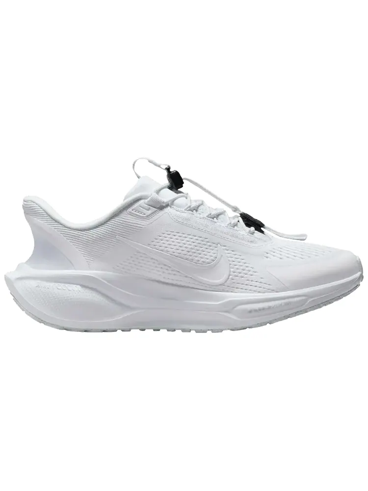 Кроссовки Nike Wmns Air Zoom Pegasus 41 EasyOn 'White Pure Platinum' — изображение 1 из 1, белый платиновый