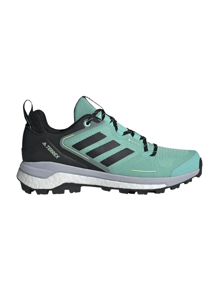 Кроссовки adidas Wmns Terrex Skychaser 2.0 GORE-TEX 'Acid Mint Black' — изображение 1 из 1, черный/серебристый