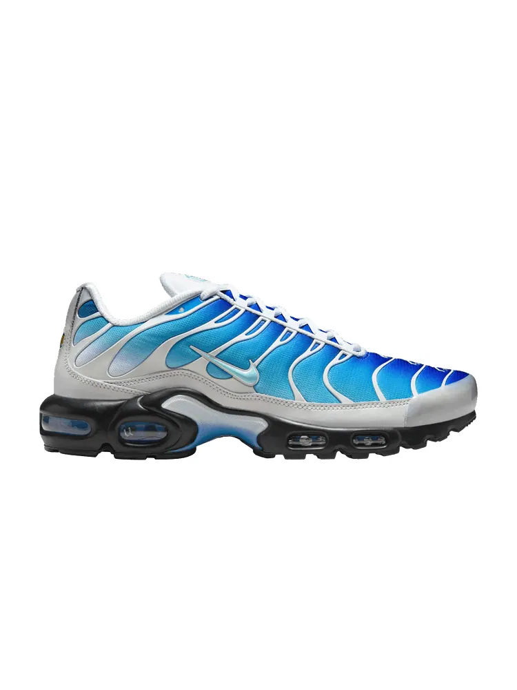 Кроссовки Nike One Block Down x Air Max Plus 'Reverse Pack - Dry Water' — изображение 1 из 1, светлый синий//зеленый