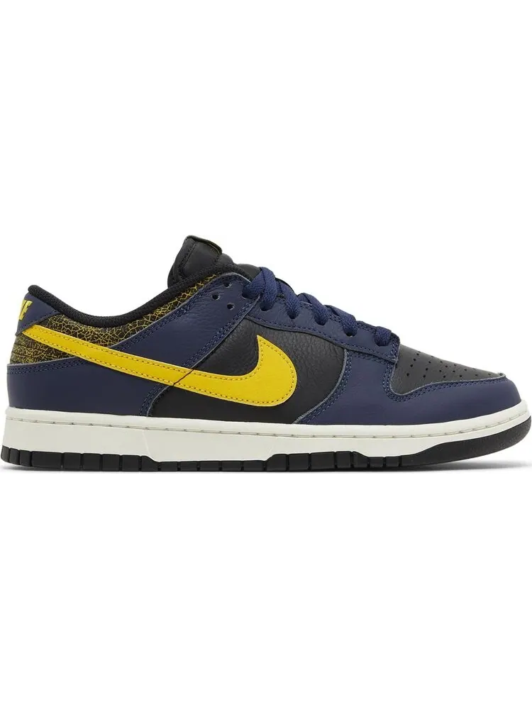 Кроссовки Nike Dunk Low 'Vintage Michigan' — изображение 1 из 4, синий