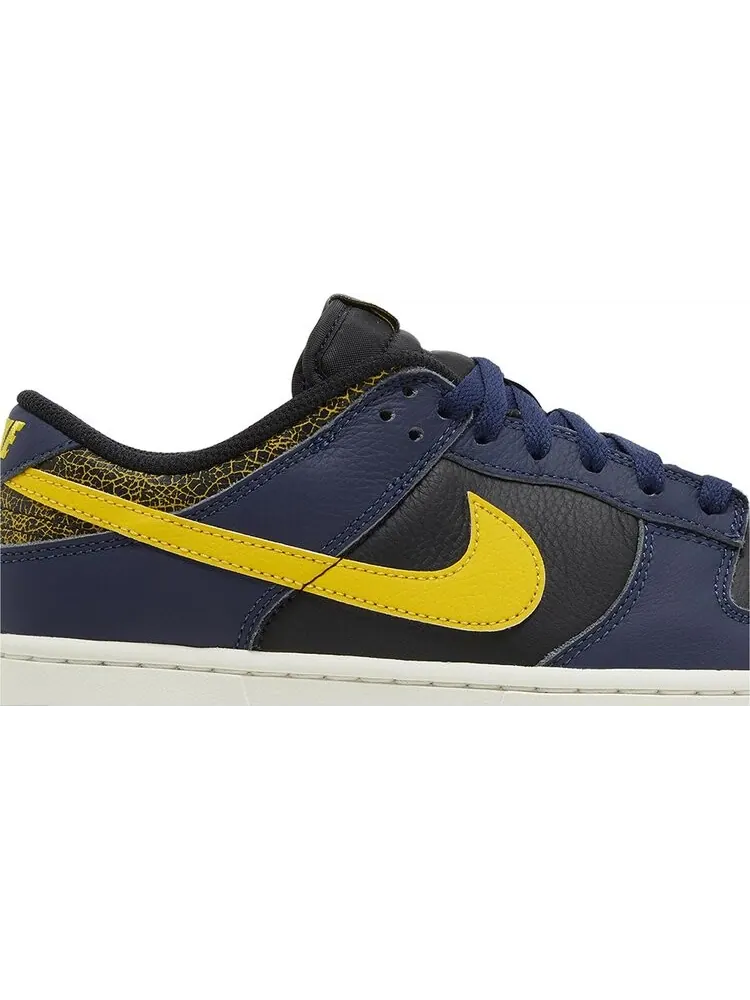 Кроссовки Nike Dunk Low 'Vintage Michigan' — изображение 2 из 4, синий