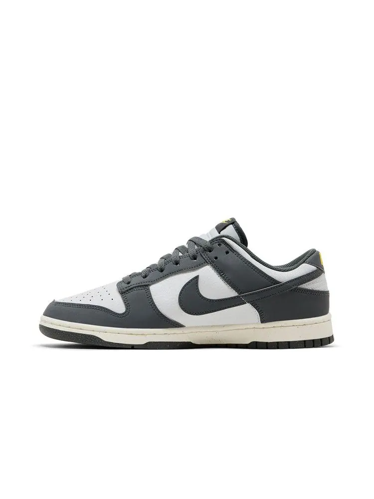 Кроссовки Nike Dunk Low Next Nature 'Iron Grey Lightning' — изображение 4 из 9, серый