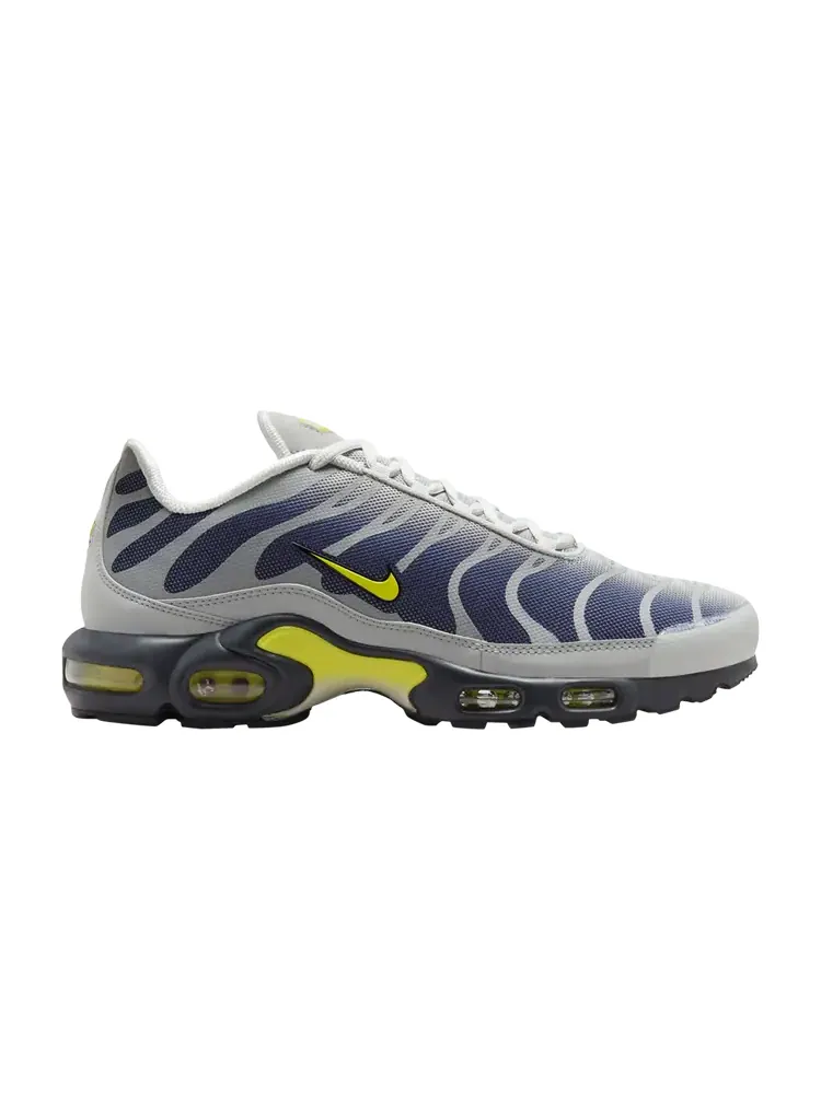 Кроссовки Nike Air Max Plus — изображение 1 из 1, синий
