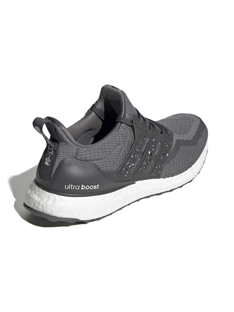 Кроссовки мужские Adidas UltraBoost 2.0 Dna City Pack Tokyo — изображение 4 из 6, серый