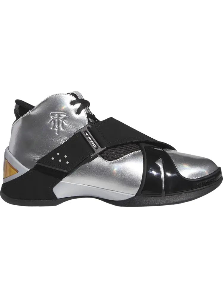 Кроссовки T-Mac 5 '13 in 33' — изображение 1 из 1, серебряный