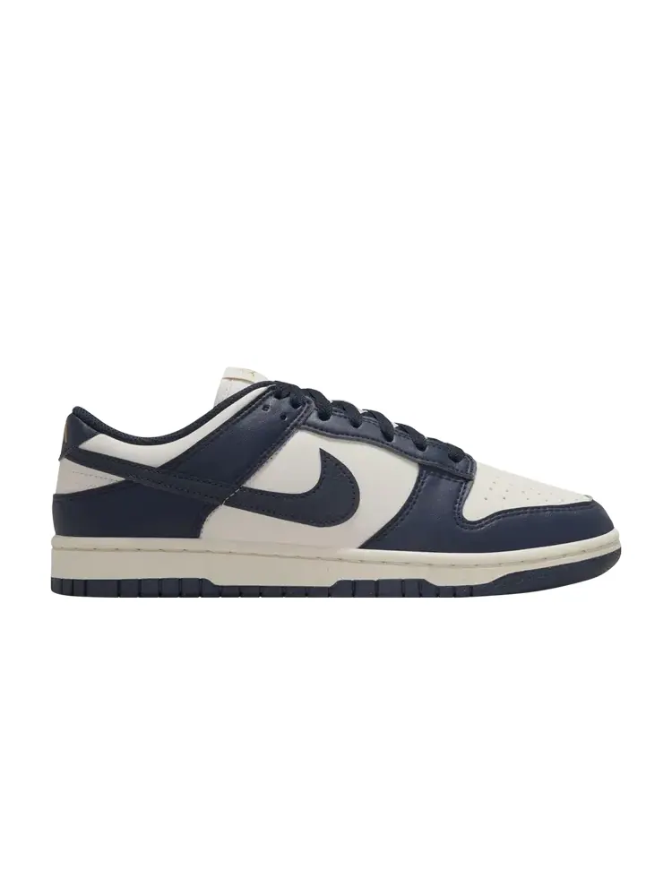 Кроссовки Nike Wmns Dunk Low Next Nature — изображение 1 из 1, синий