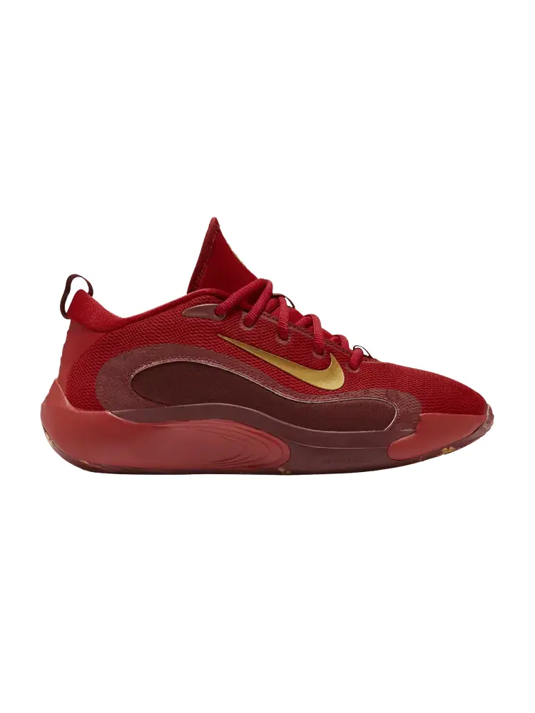 Кроссовки Nike IsoFly GS Gym Red Metallic Gold — изображение 1 из 1