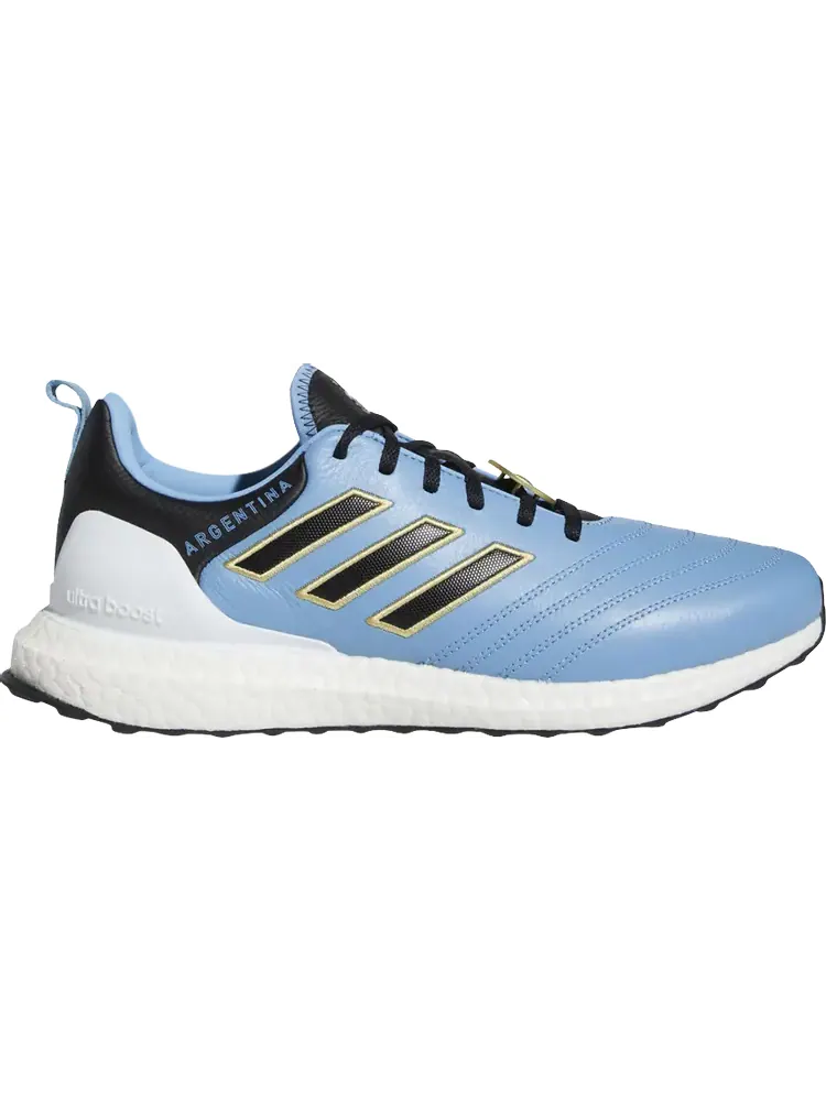 Кроссовки Adidas UltraBoost DNA 'Copa World Cup - Argentina' — изображение 1 из 1, синий