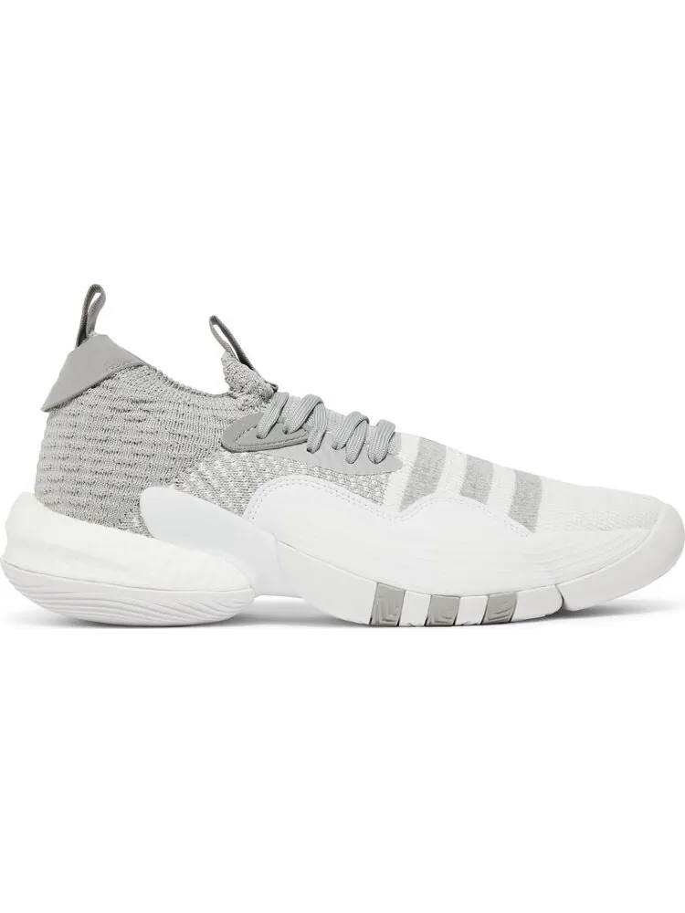 Кроссовки Adidas Trae Young 2 'Grey Moon' — изображение 1 из 8, серый