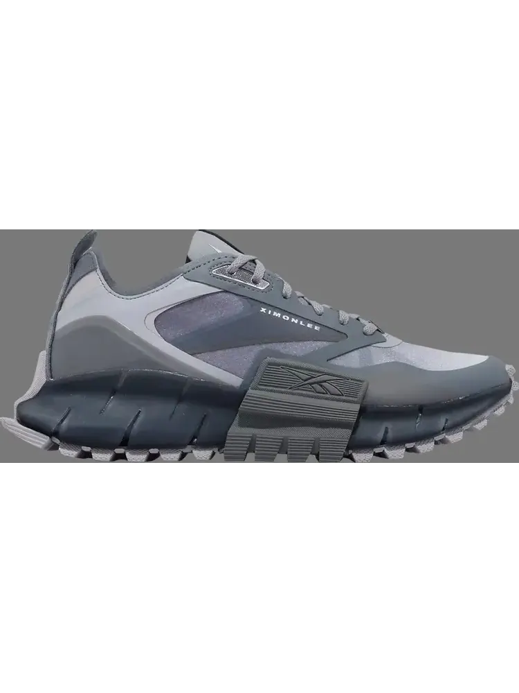 Кроссовки ximon lee x zig kinetica horizon edge 'snake pack - metallic grey navy' Reebok — изображение 1 из 1, серый
