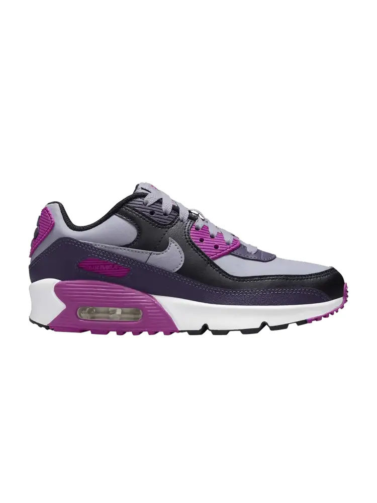 Кроссовки Nike Air Max 90 GS Dark Raisin — изображение 1 из 1, фиолетовый