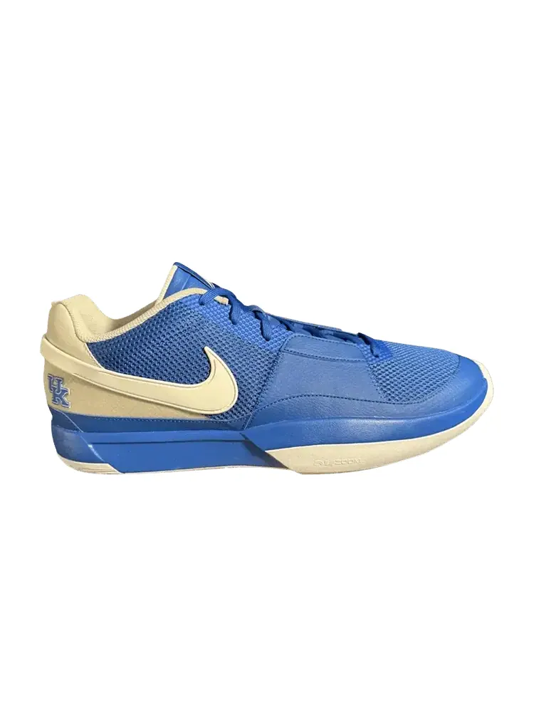 Кроссовки Nike Ja 1 'Kentucky Away' PE — изображение 1 из 1, белый/серебристый
