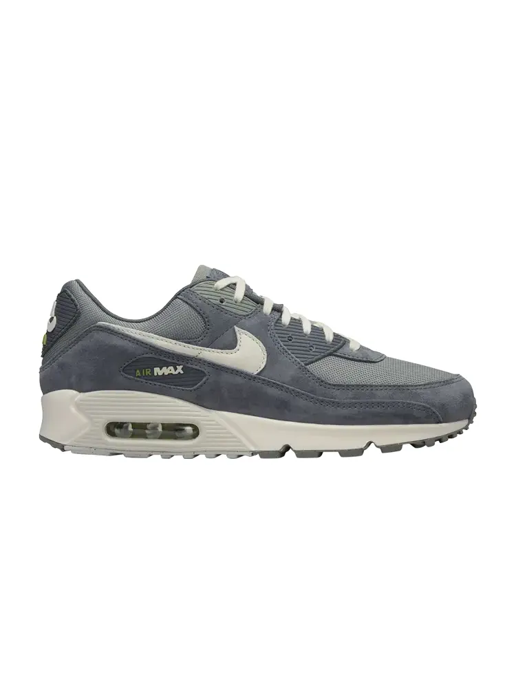 Кроссовки Nike Air Max 90 Premium — изображение 1 из 1, серый