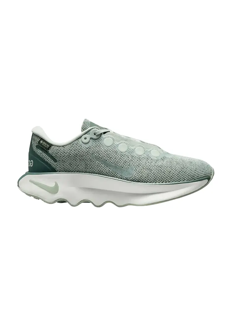 Кроссовки Nike Wmns Motiva GORE-TEX Light Silver — изображение 1 из 1, светлый серебристый