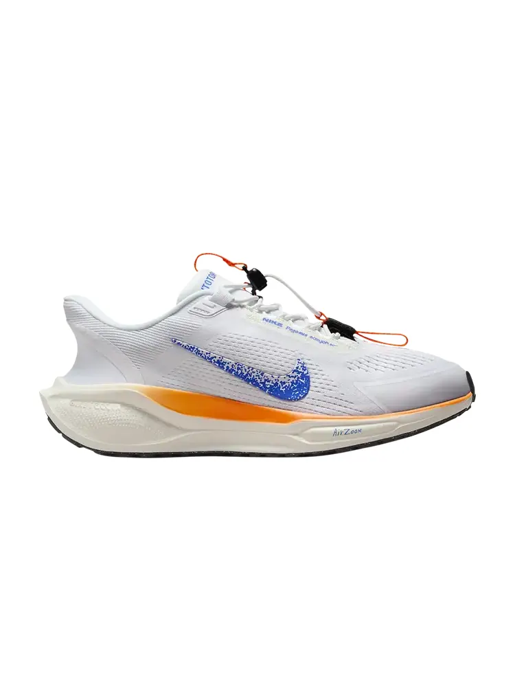 Кроссовки Wmns Air Zoom Pegasus 41 EasyOn — изображение 1 из 1, синий