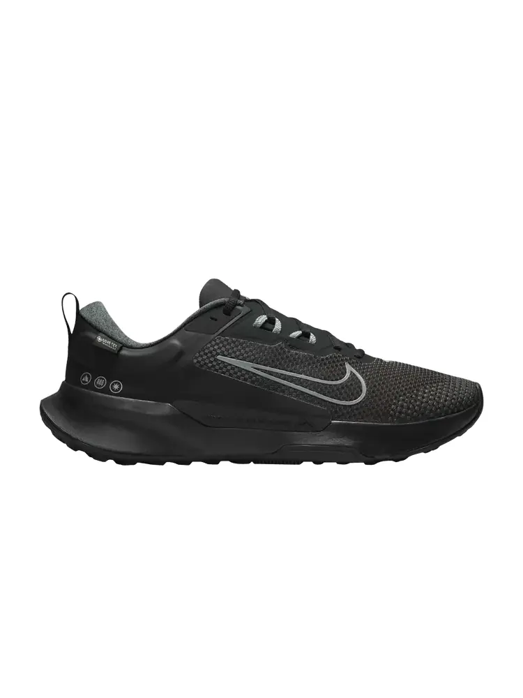 Кроссовки Nike Juniper Trail 2 GORE-TEX 'Black Cool Grey' — изображение 1 из 1, черный/серый