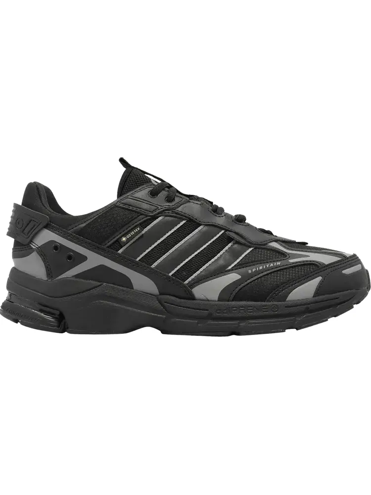 Кроссовки Adidas Spiritain 2000 GORE-TEX — изображение 1 из 1, черный