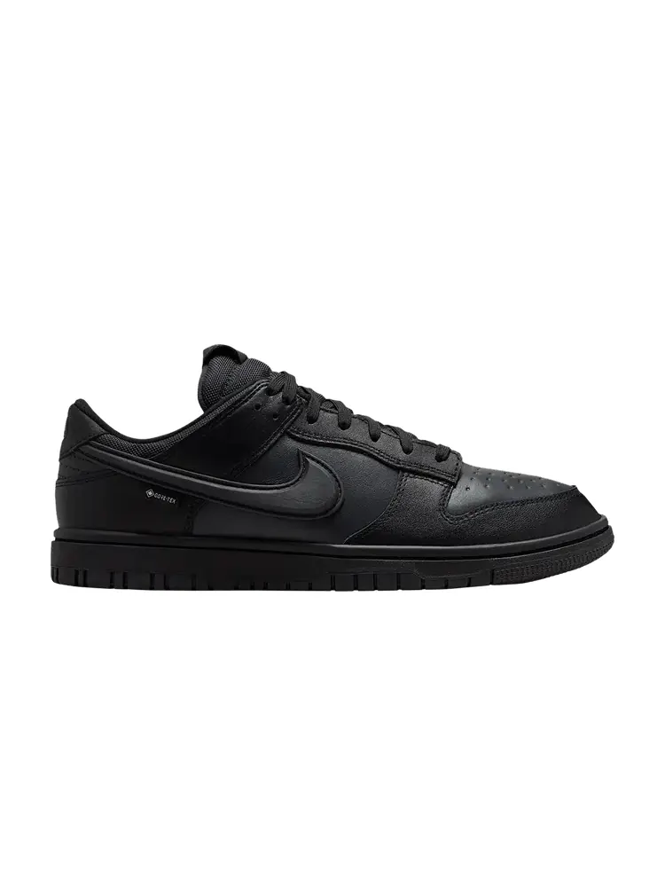 Кроссовки Nike Dunk Low GORE-TEX — изображение 1 из 1, черный