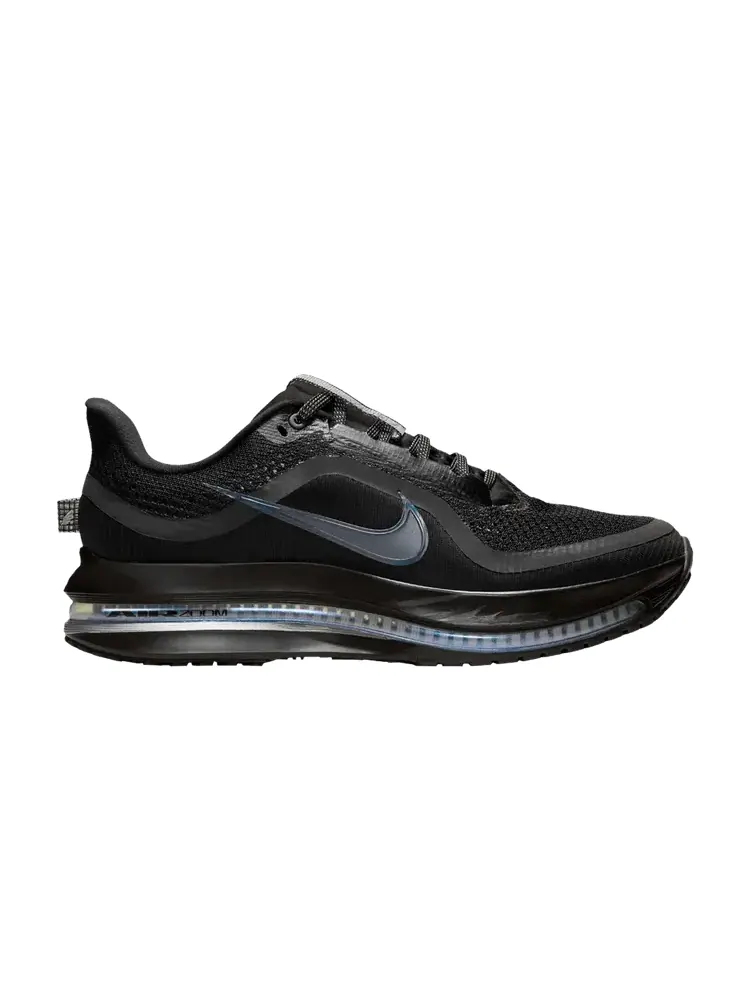 Кроссовки Wmns Pegasus Premium 'Black Metallic Silver' — изображение 1 из 1