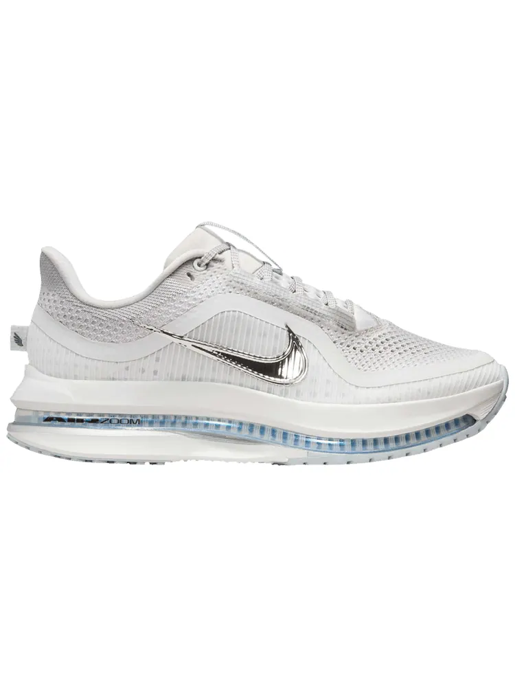 Кроссовки Nike Wmns Pegasus Premium 'Metallic Silver Swoosh' — изображение 1 из 1, серый