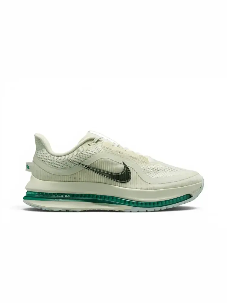 Кроссовки Nike Wmns Pegasus Premium — изображение 1 из 1, морское стекло