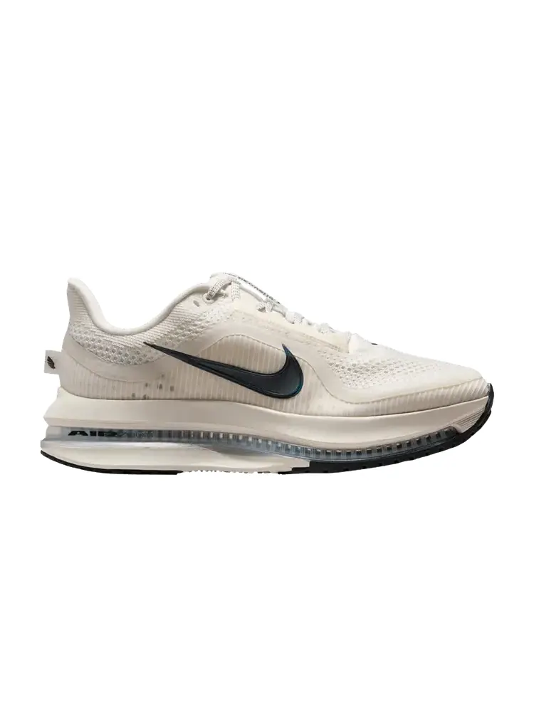 Кроссовки Nike Wmns Pegasus Premium 'Sail Off Noir' — изображение 1 из 1