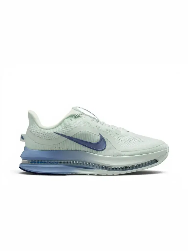 Кроссовки Nike Wmns Pegasus Premium — изображение 1 из 1, зеленый синий