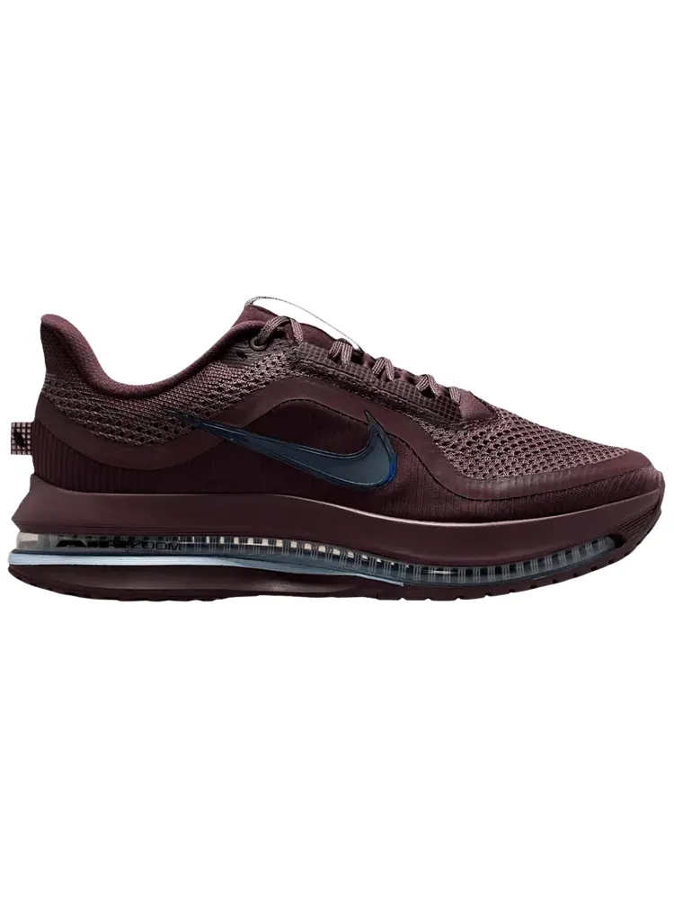 Кроссовки Nike Wmns Pegasus Premium — изображение 1 из 1, фиолетовый